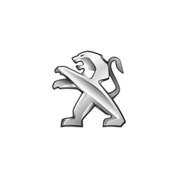 מולטימדיה לפיג'ו