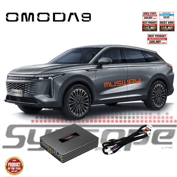 DSP לרכב omoda 9