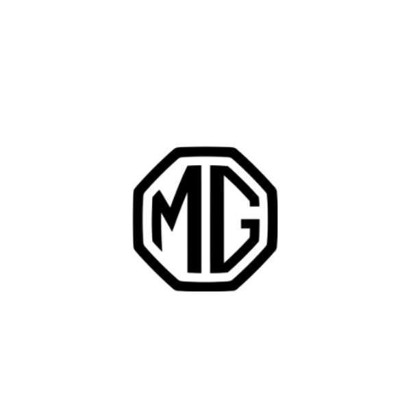 צמות DSP Plug & Play לרכבי MG