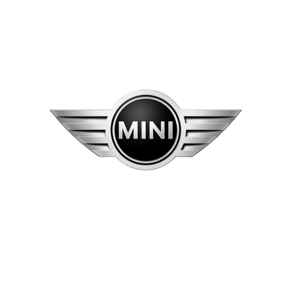 גגונים לרכב מיני Mini