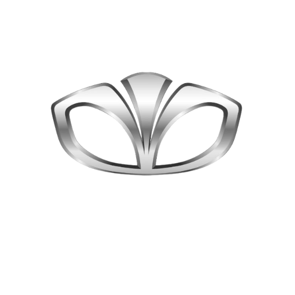 גגונים לרכב דייהו Daewoo