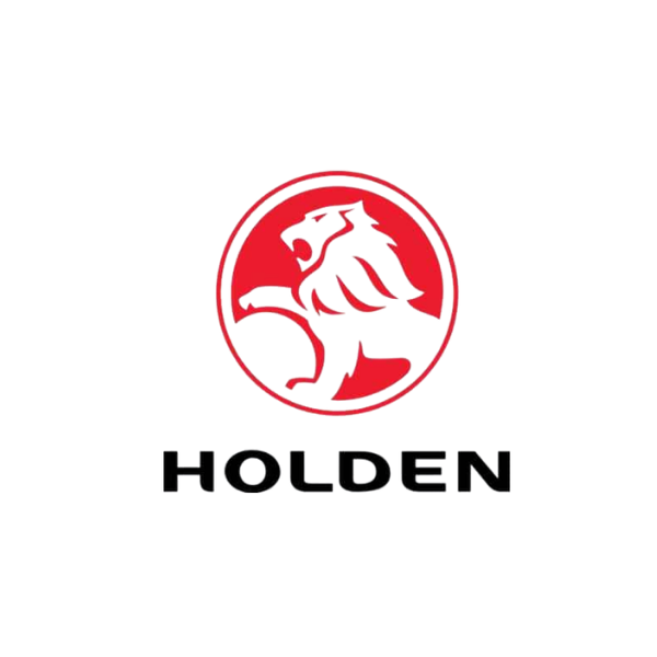 גגונים לרכב הולדן Holden