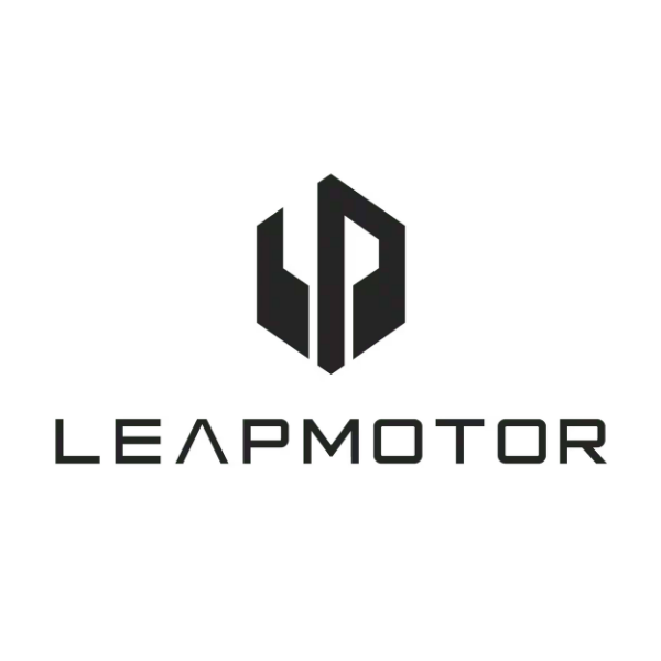 גגונים לרכב ליפמוטור Leapmotor